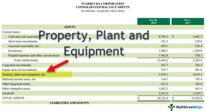 How is property plant and equipment reported?