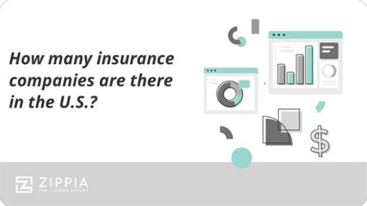 How many insurance companies are there in the US in 2020?