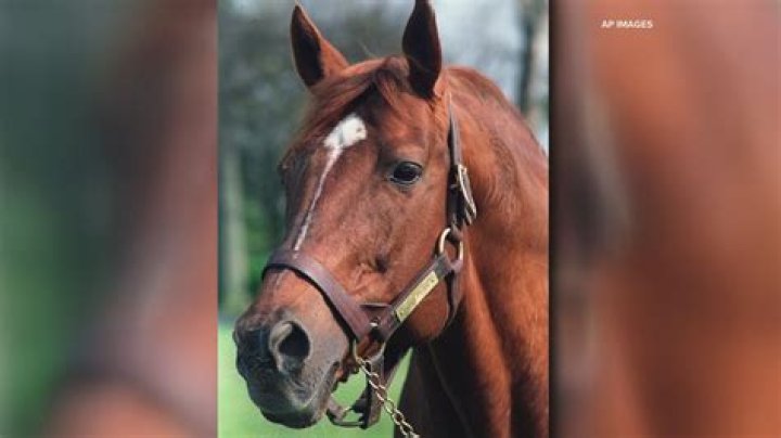 How many job roles are there in horse racing?