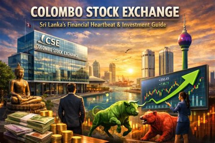 How many sectors are there in the Colombo Stock Exchange?