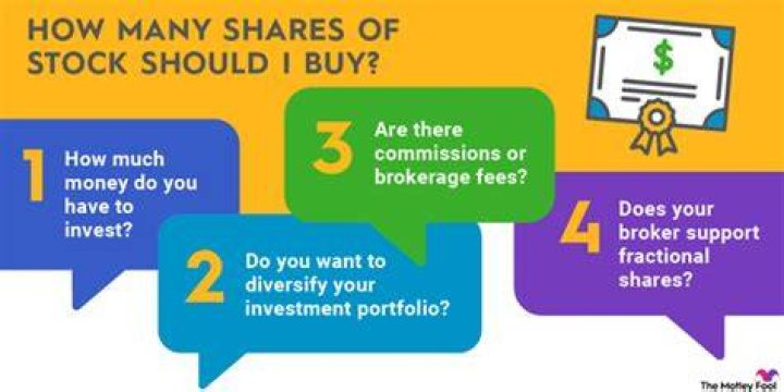 How many shares of stock do I have?
