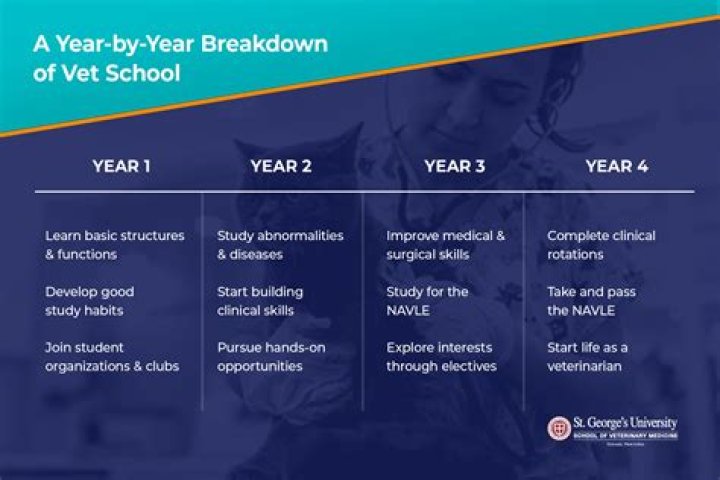 How many years of school does it take to be a businessman?