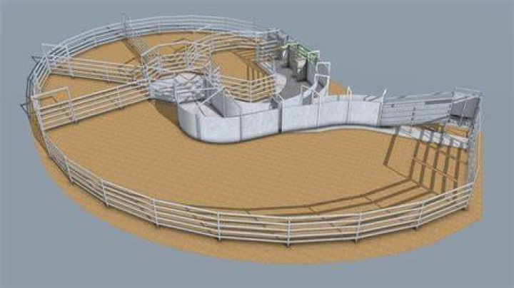 How much can you make on 100 head of cattle?