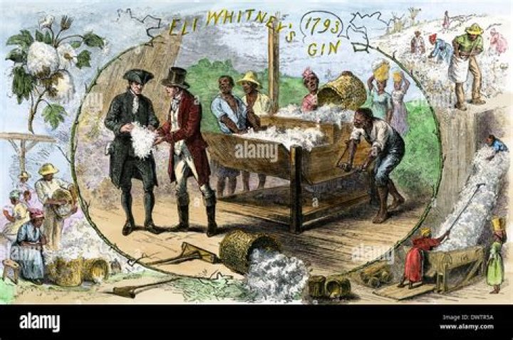 How much did a cotton gin cost in 1793?