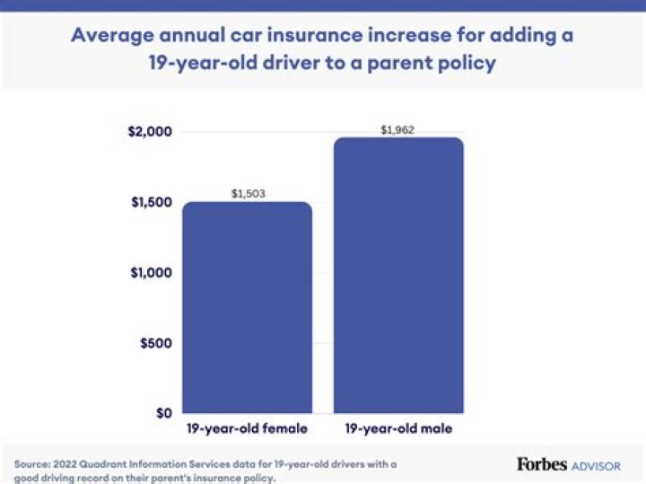 How much do 19 year olds pay for car insurance?