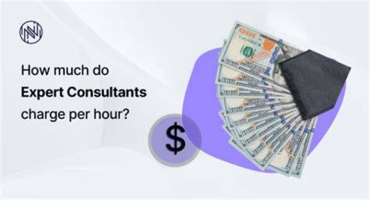 How much do environmental consultants charge?
