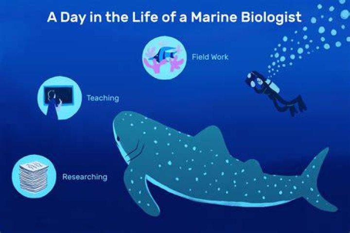 How much do marine biologists make starting out?
