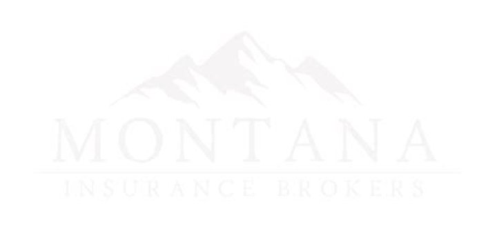 How much is a Montana insurance license?