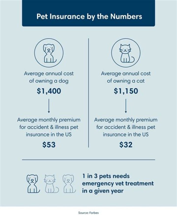 How much is pet insurance in Florida?
