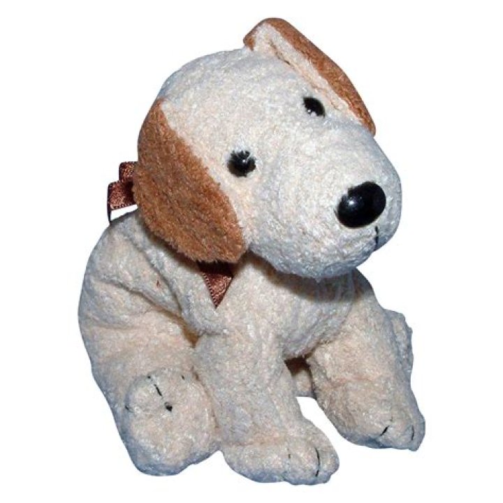 How much is the dog Beanie Baby worth?