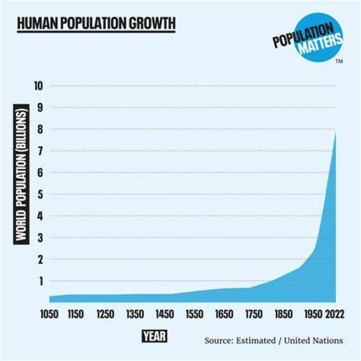 How much of the population is attractive?