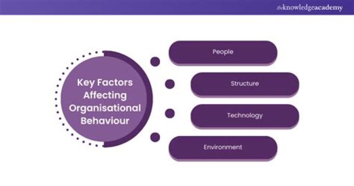 How organizational behavior affects organizational performance?