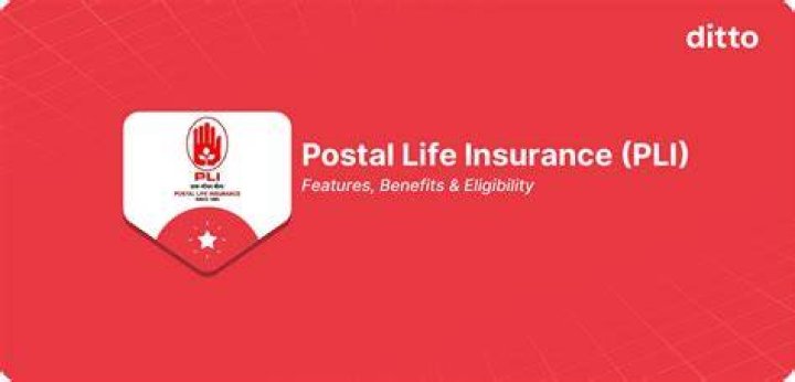 How was life insurance started?