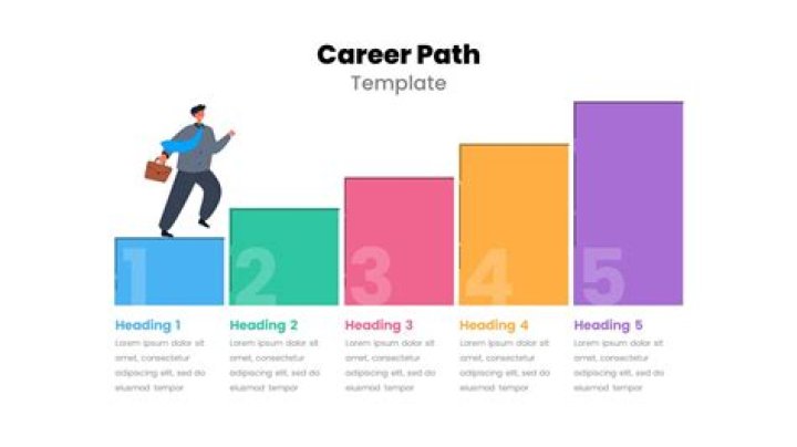 How would you describe your career plan?