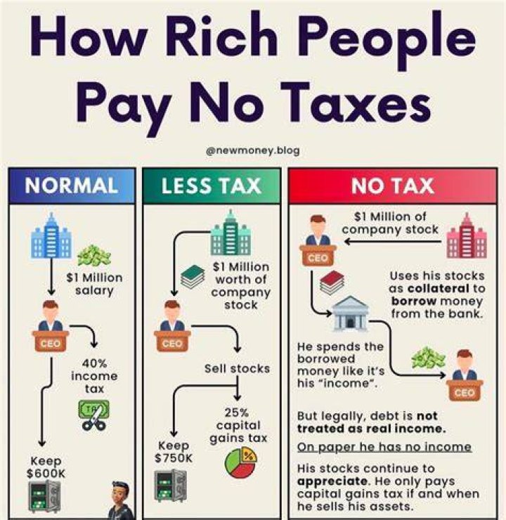 In which business forms does the company not pay its own taxes?