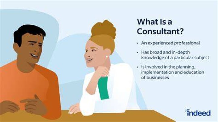 Is a consultant an LLC?