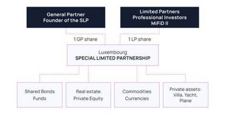 Is a family limited partnership an investment company?