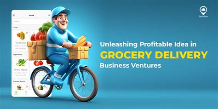 Is a grocery delivery business profitable?
