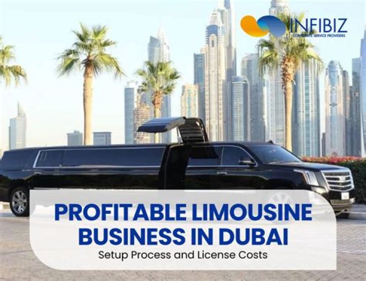 Is a limousine business profitable?