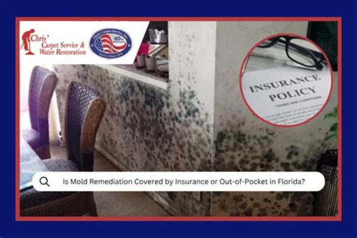 Is a mold problem covered by insurance?