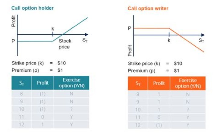 Is a stock option a share?