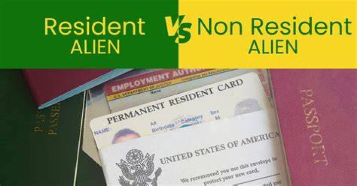 Is an international student a non resident alien?