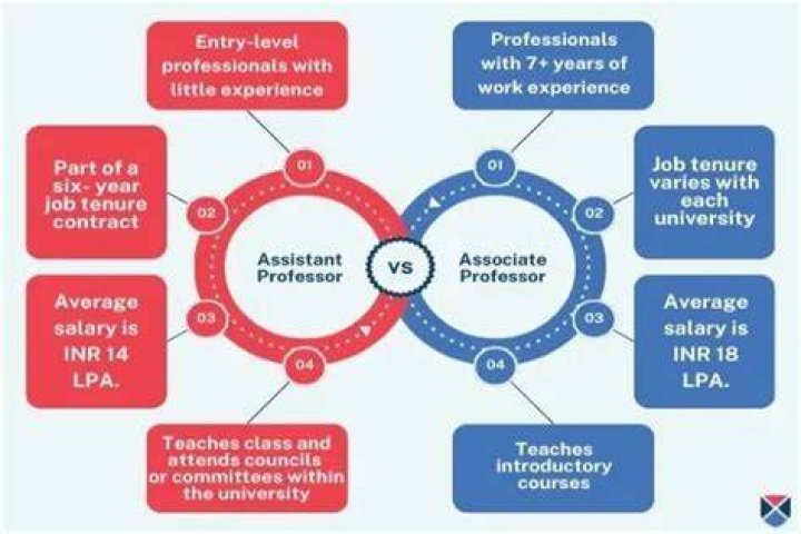 Is Assistant or associate professor higher?