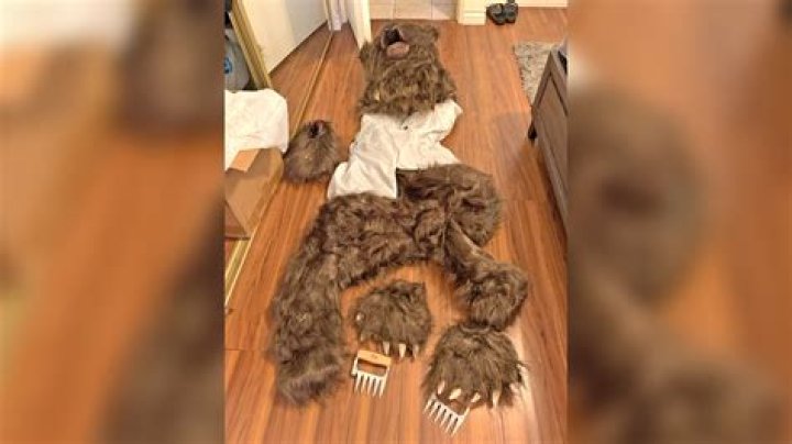 Is Bear damage covered by insurance?