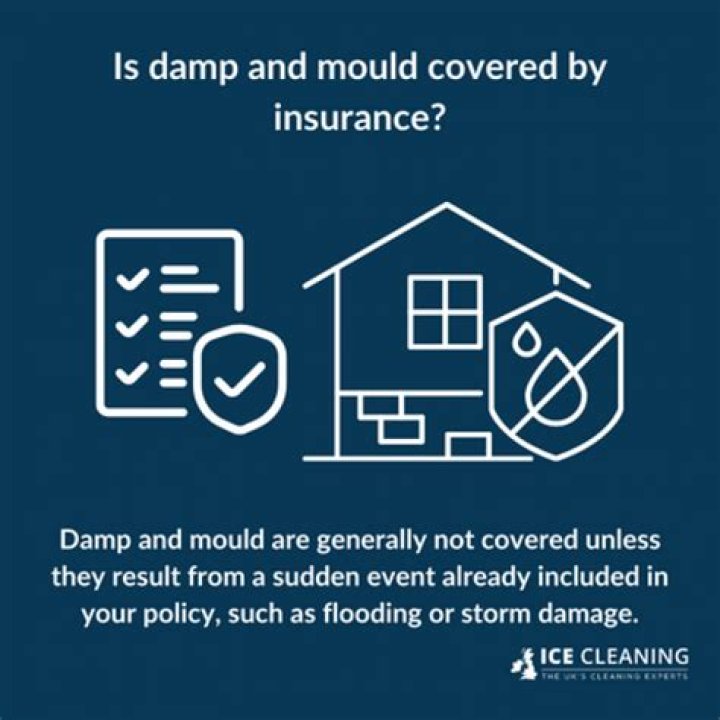 Is Black mould covered by home insurance?