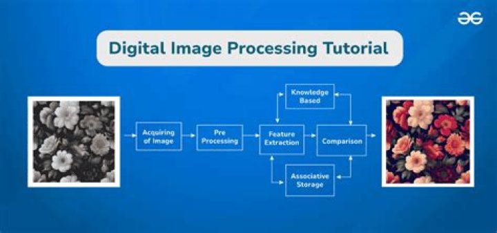 Is digital image processing a good elective?