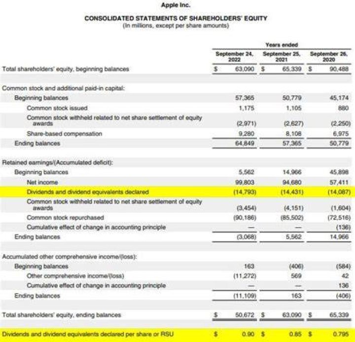 Is dividends included in Statement of Financial Position?