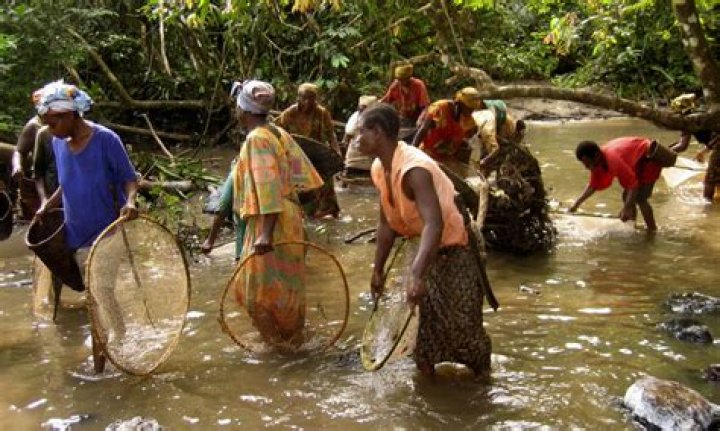 Is living in Congo safe?