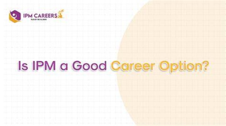 Is MLM a good career option?