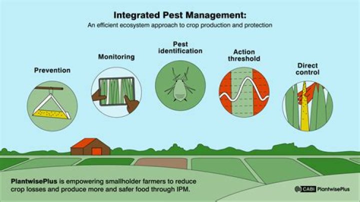 Is pest control covered under home insurance?