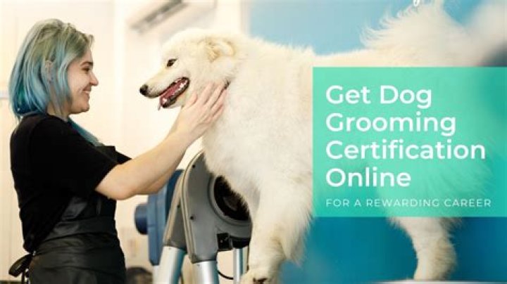 Is pet grooming a good career?