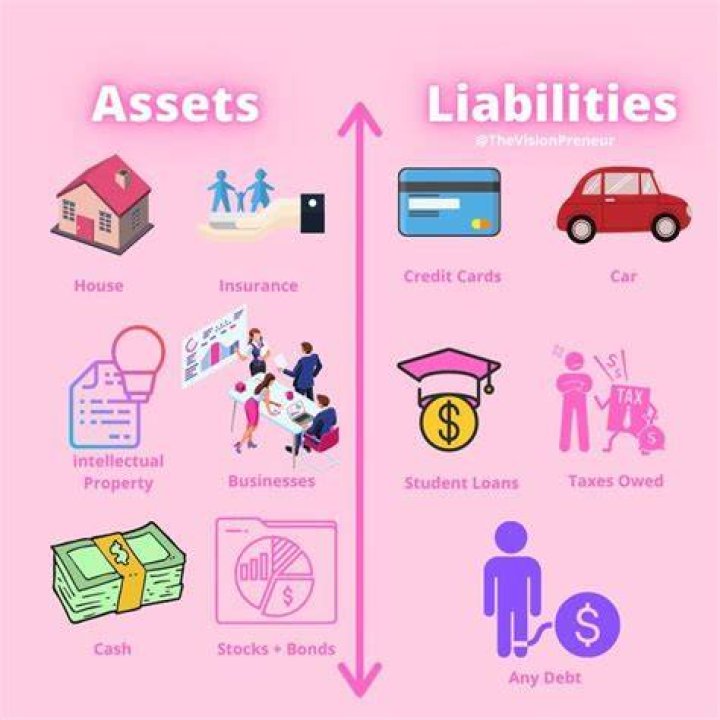 Is preliminary expenses asset or liability?