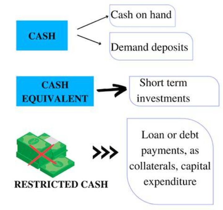Is Restricted cash working capital?
