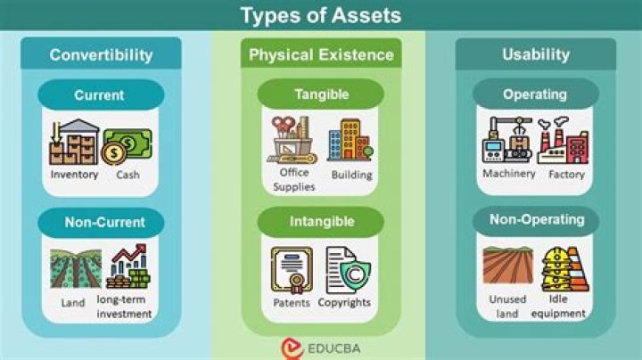 Is software considered an asset?