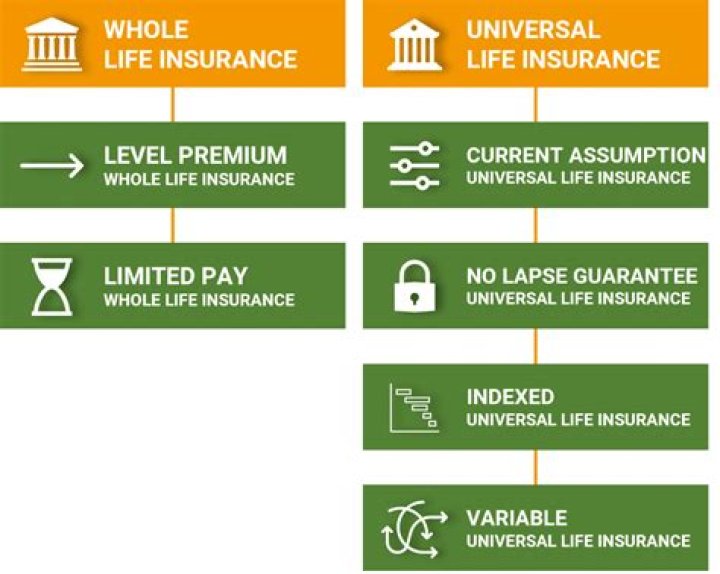 Is the designated recipient of the proceeds of a life insurance policy?