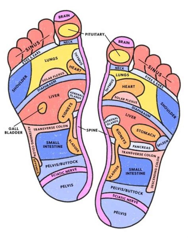 Is there a career in reflexology?