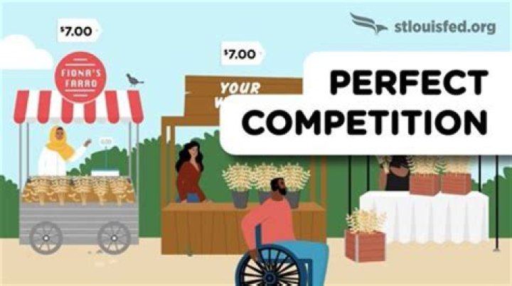 Is there a lack of competition in the US economy?