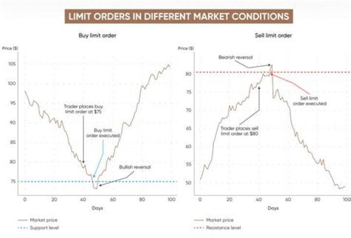 Is there a limit on stock purchase?