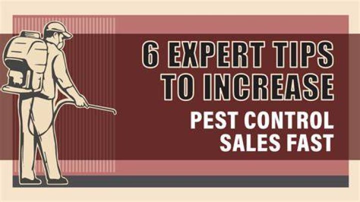 Is there good money in pest control?