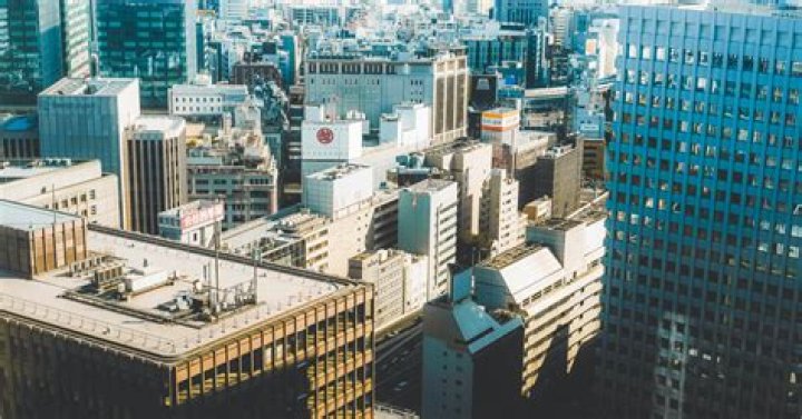 Is there private ownership in Japan?