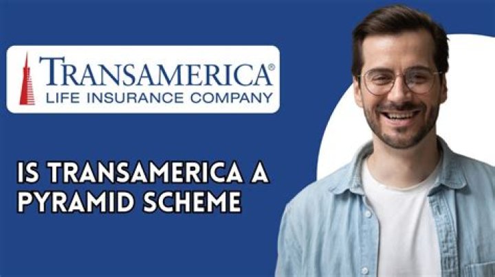 Is Transamerica insurance a pyramid scheme?