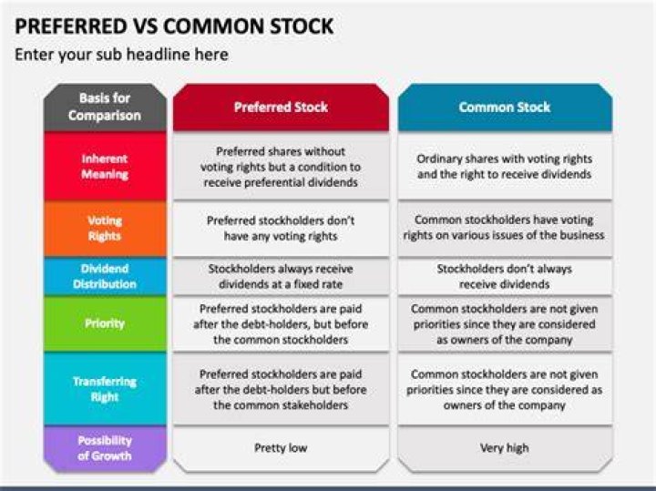 What advantages and disadvantages do preferred stockholders have over common stockholders?