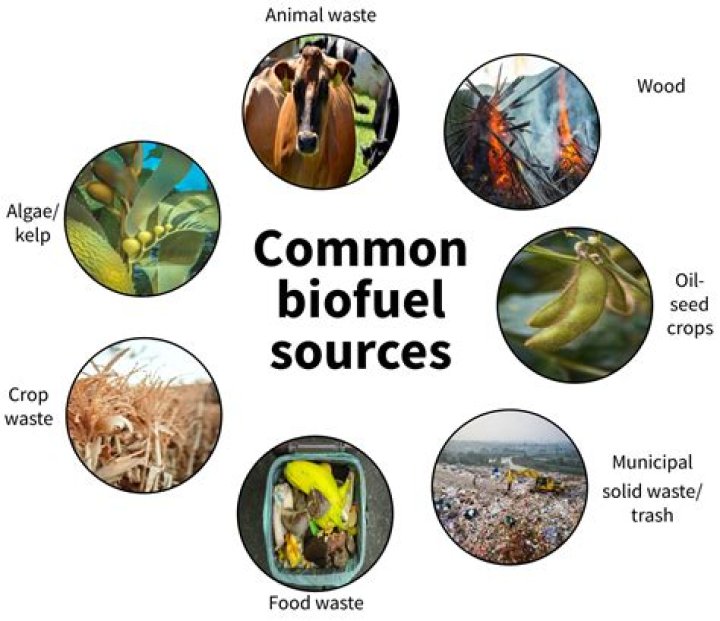 What are biomass pellets made of?