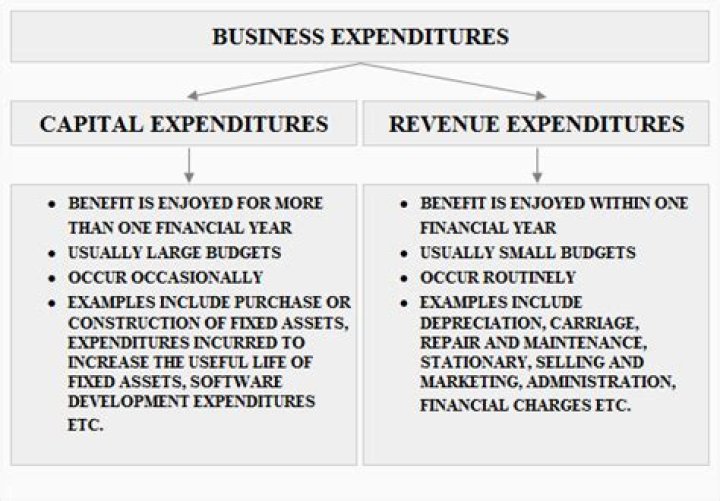 What are capital and revenue items?