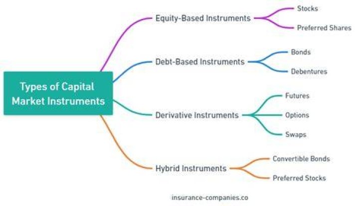 What are capital market instruments?