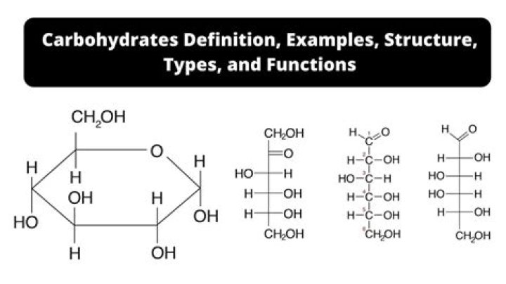 What are Carbohydrases used for?